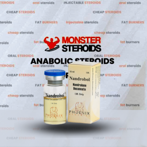 NandroBol