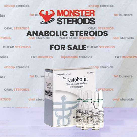 Testobolina