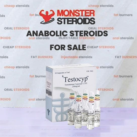 Testocyp